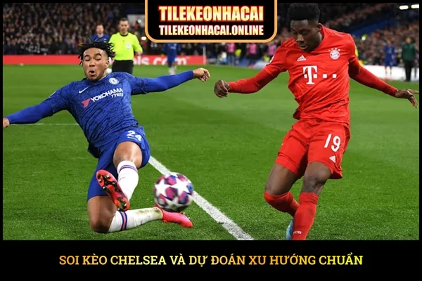 Soi kèo Chelsea và dự đoán xu hướng chuẩn