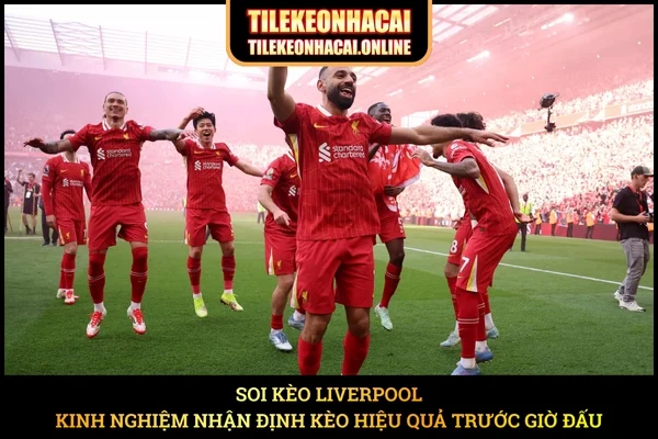 Soi Kèo Liverpool - Kinh Nghiệm Nhận Định Kèo Hiệu Quả Trước Giờ Đấu