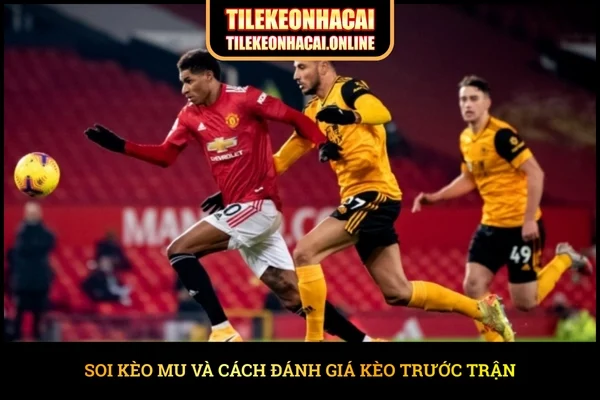 Soi kèo MU và cách đánh giá kèo trước trận