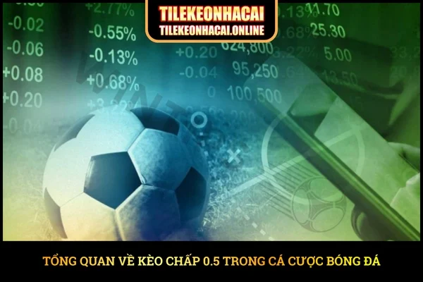 Tổng quan về kèo chấp 0.5 trong cá cược bóng đá